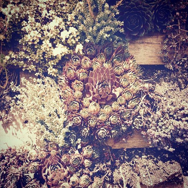 If You’re Feeling Tired Today……..