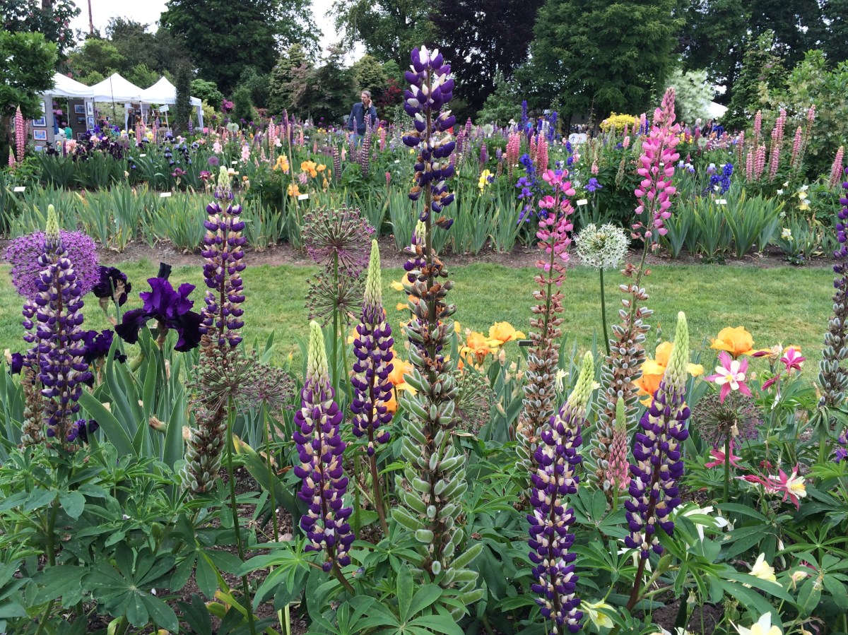 Why You Should Get Your Hopes&nbsp;Up