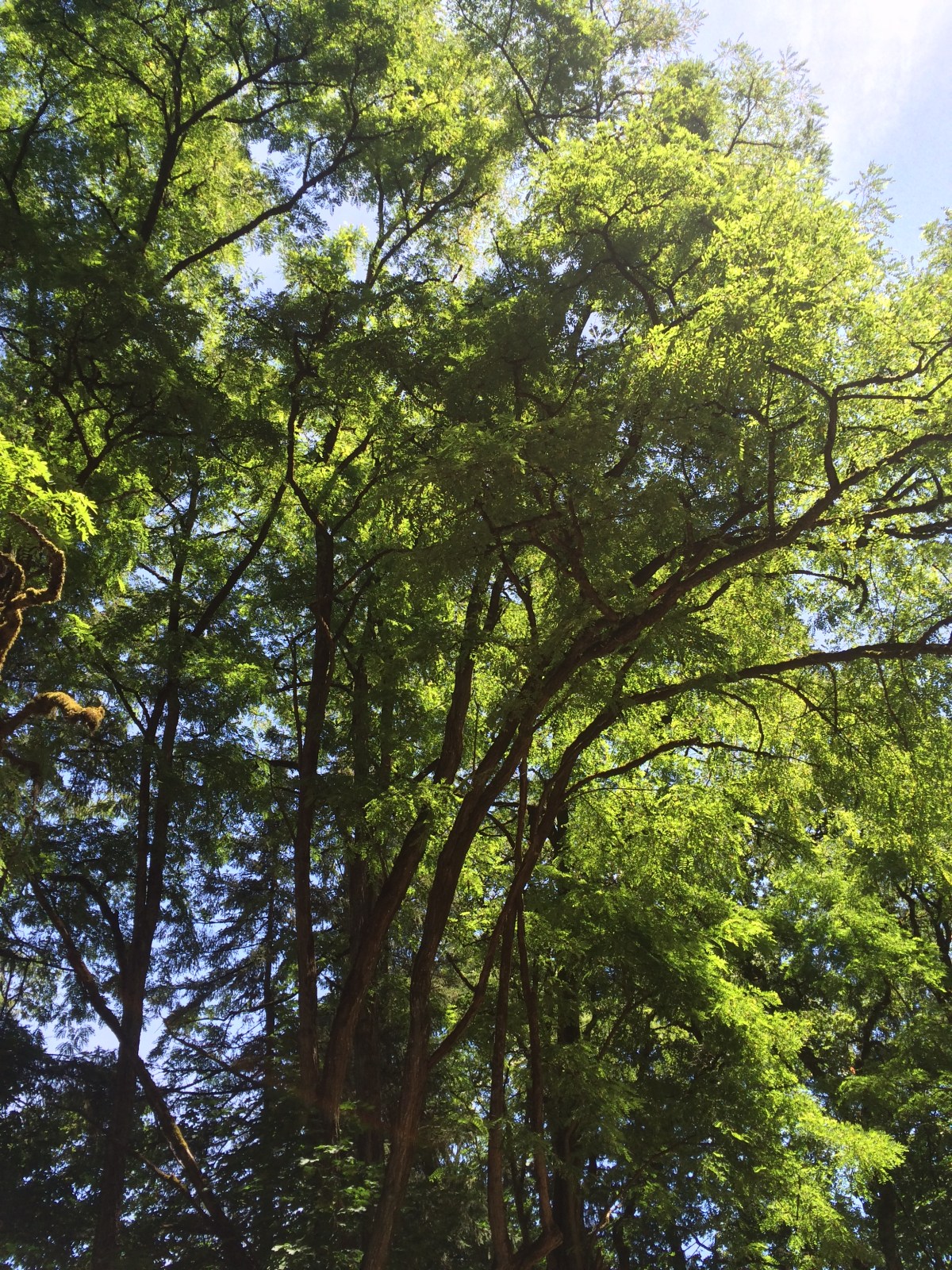 Why Am I Doing&nbsp;This?