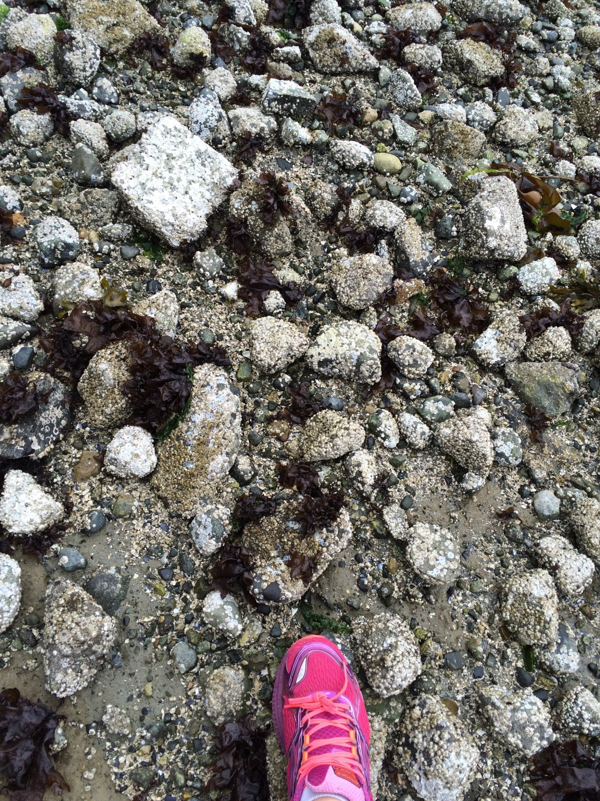 Where It Should Have&nbsp;Begun