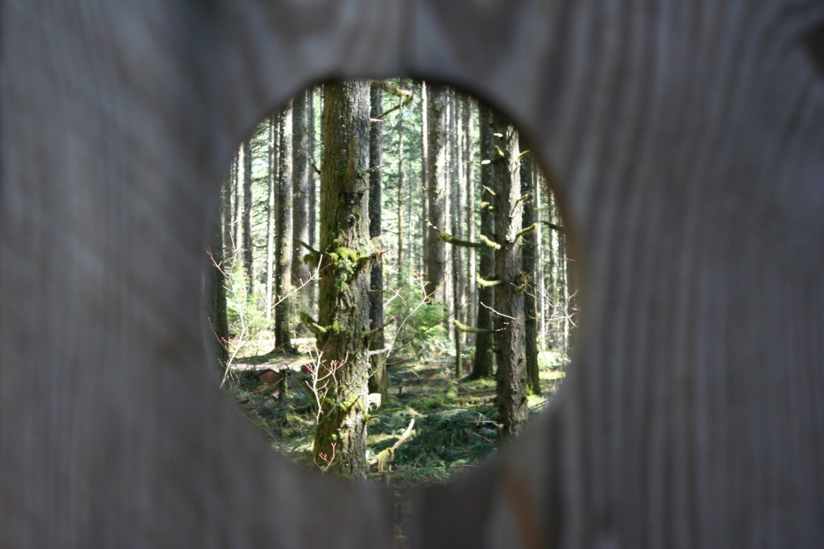 Joy-empowered Suffering