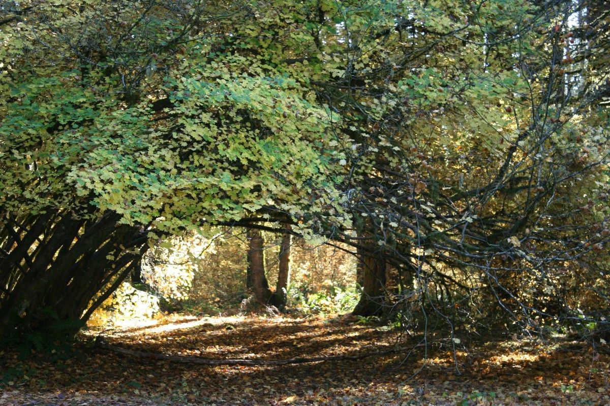 Confessions of a Prayer&nbsp;Failure