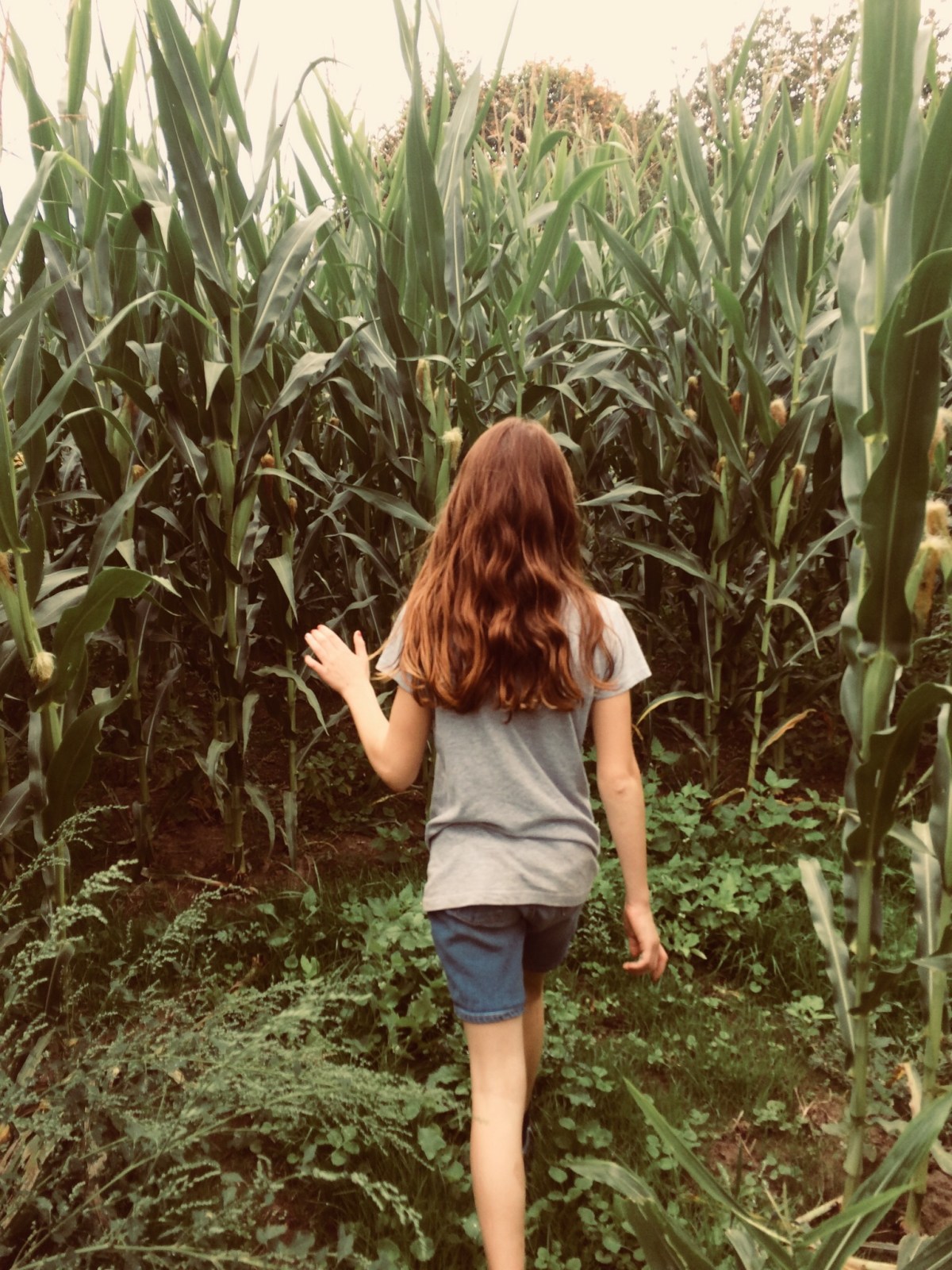 Weather Forecasts and Soul&nbsp;Barometers